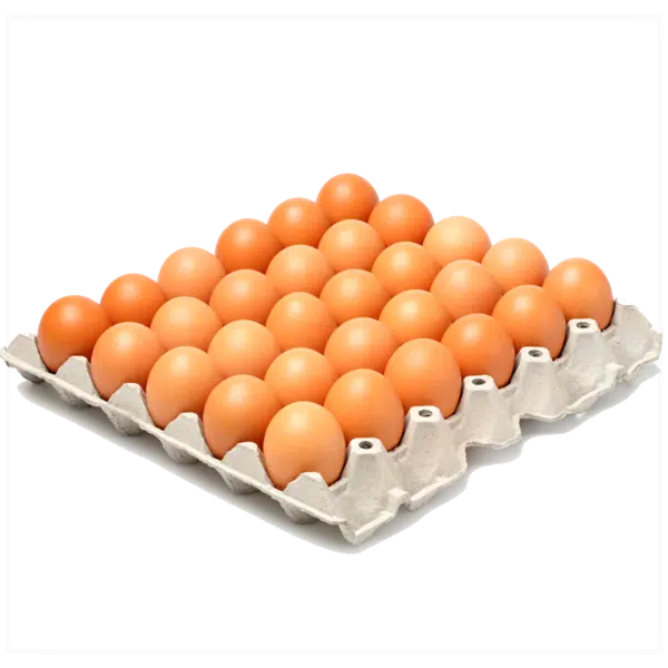 Huevos Tipo B